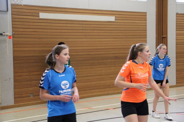 2017_01_08 Landesliga Frauen u. J19